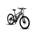 Electric Bikes